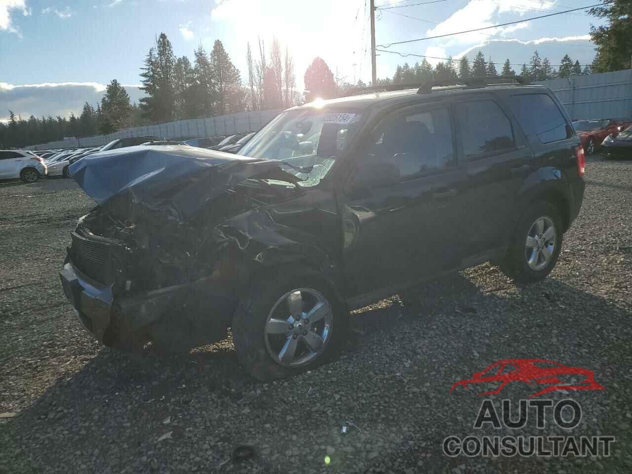 FORD ESCAPE 2009 - 1FMCU93709KD06143