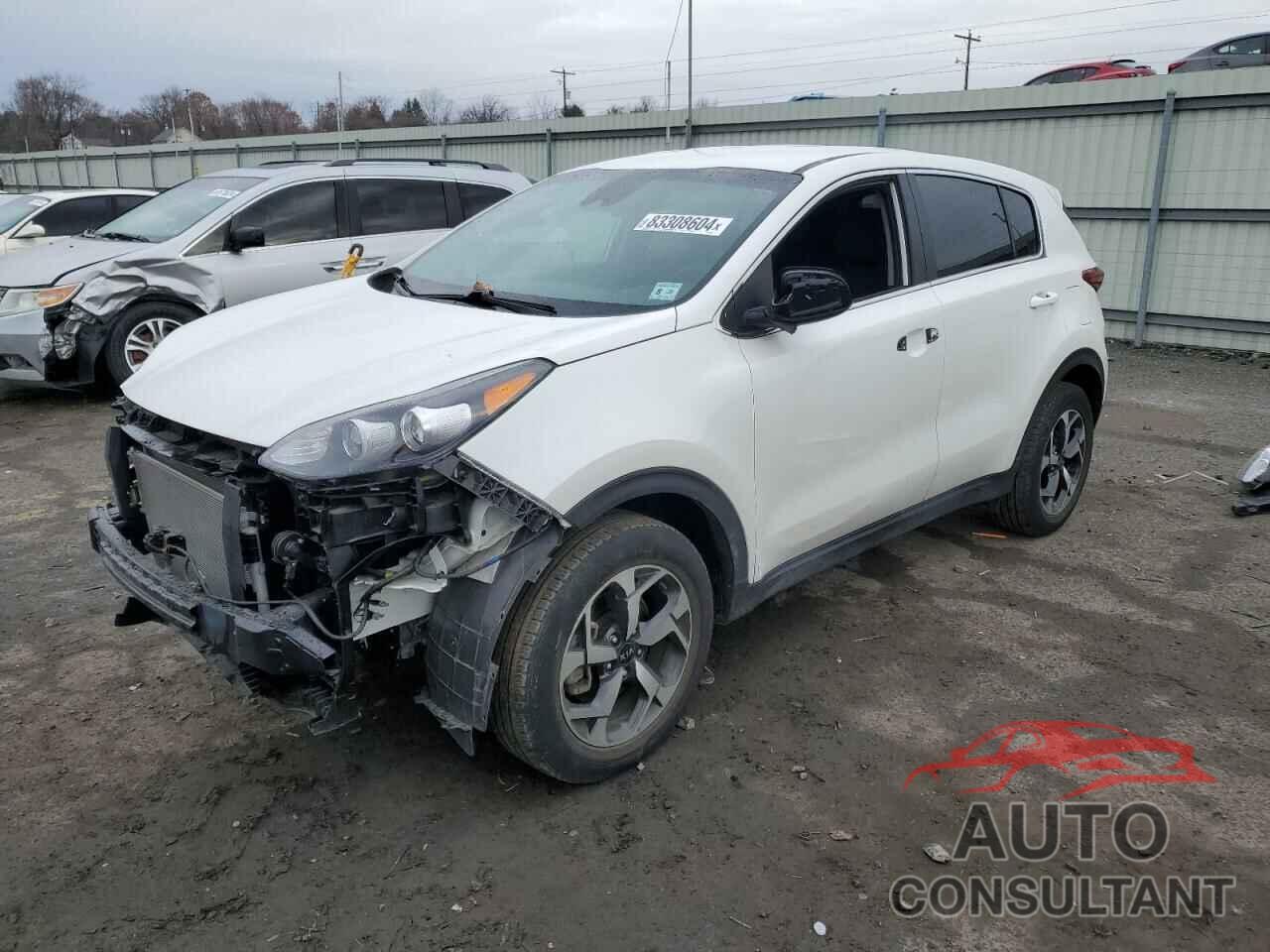 KIA SPORTAGE 2021 - KNDPM3AC5M7896550