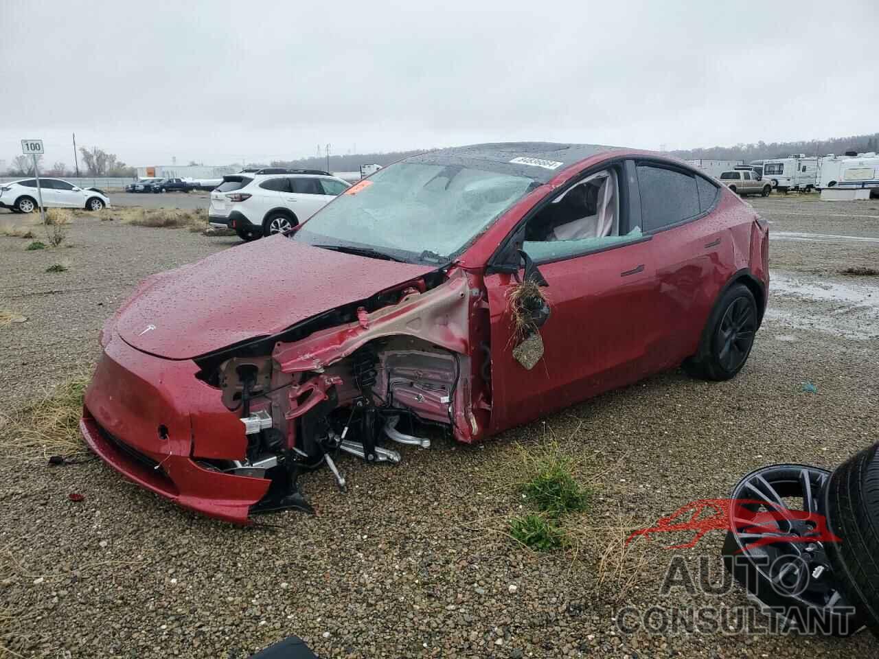 TESLA MODEL Y 2024 - 7SAYGDEE8RF183711