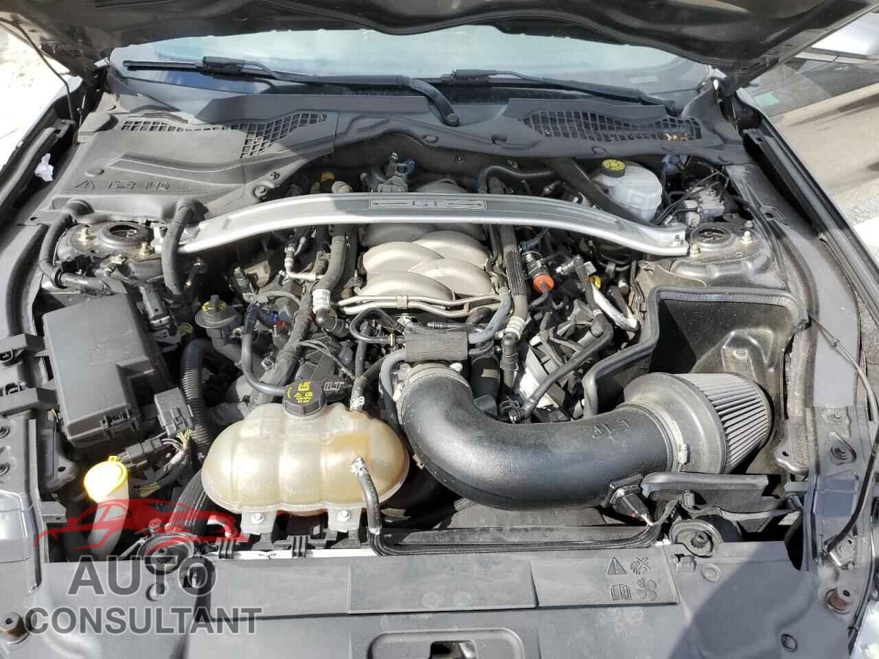 FORD MUSTANG 2019 - 1FA6P8CF8K5101836