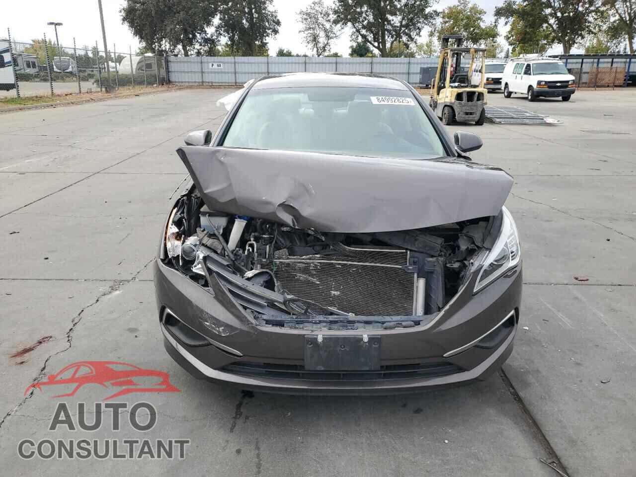 HYUNDAI SONATA 2017 - 5NPE24AF1HH575264