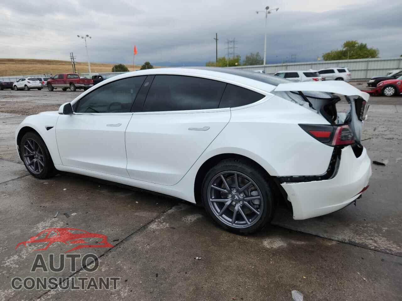 TESLA MODEL 3 2019 - 5YJ3E1EA7KF299920