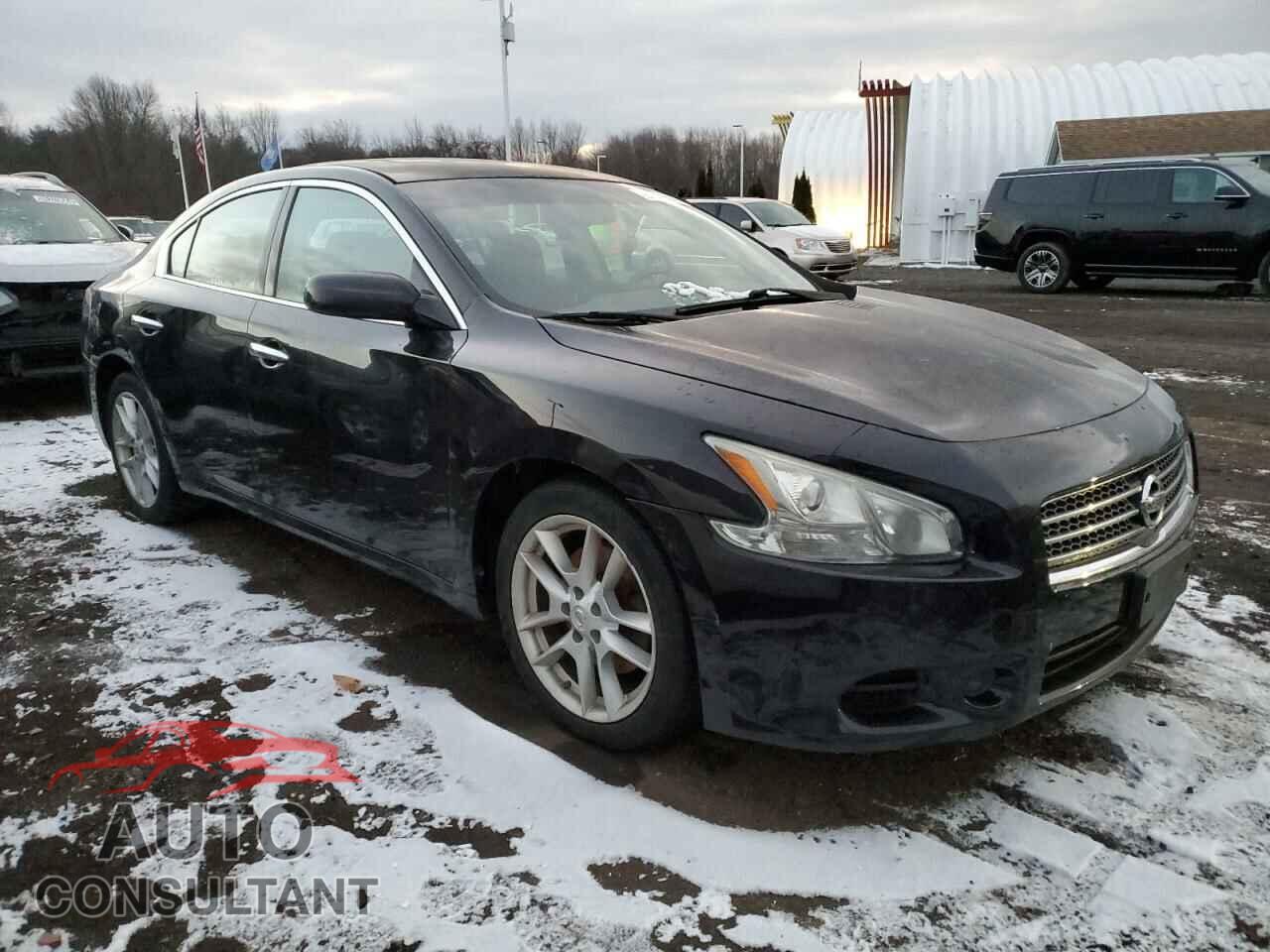 NISSAN MAXIMA 2010 - 1N4AA5AP8AC856212