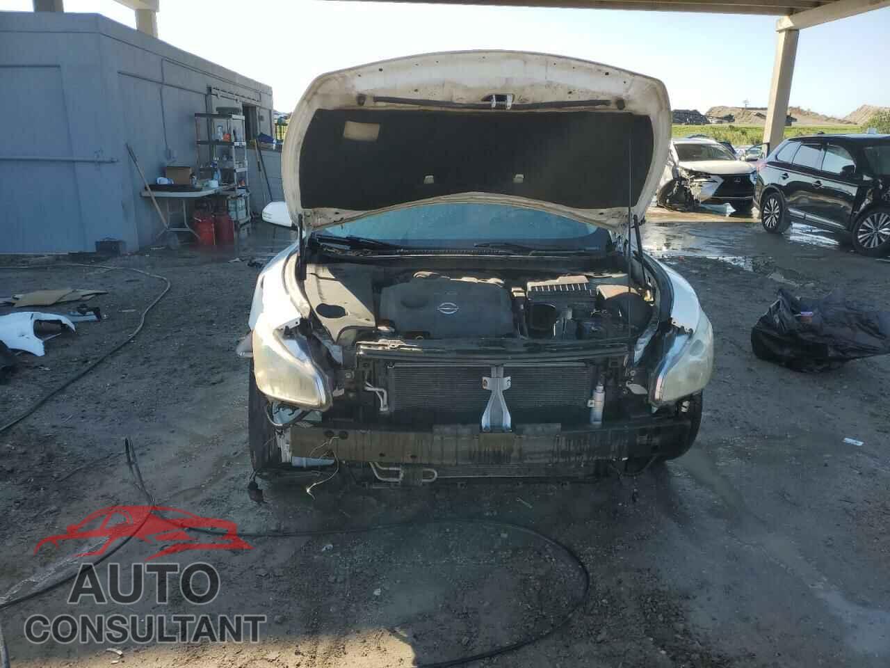 NISSAN MAXIMA 2011 - 1N4AA5AP1BC805376