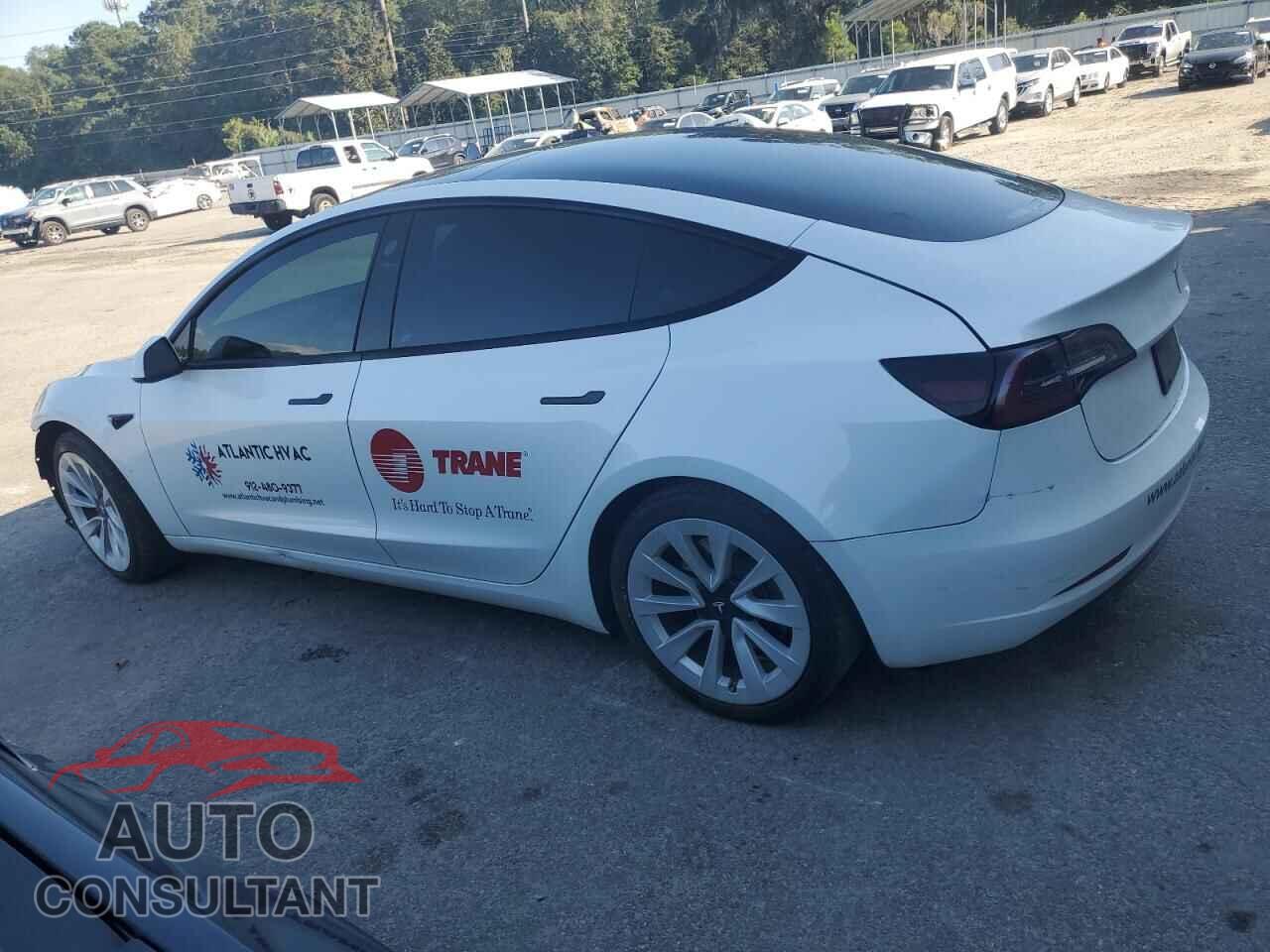 TESLA MODEL 3 2023 - 5YJ3E1EA5PF564356