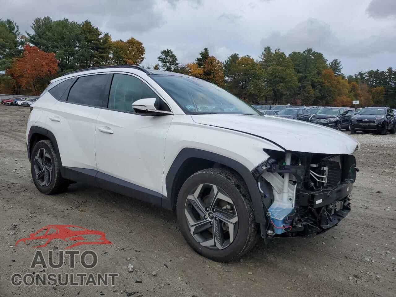 HYUNDAI TUCSON 2022 - KM8JFDA24NU032181