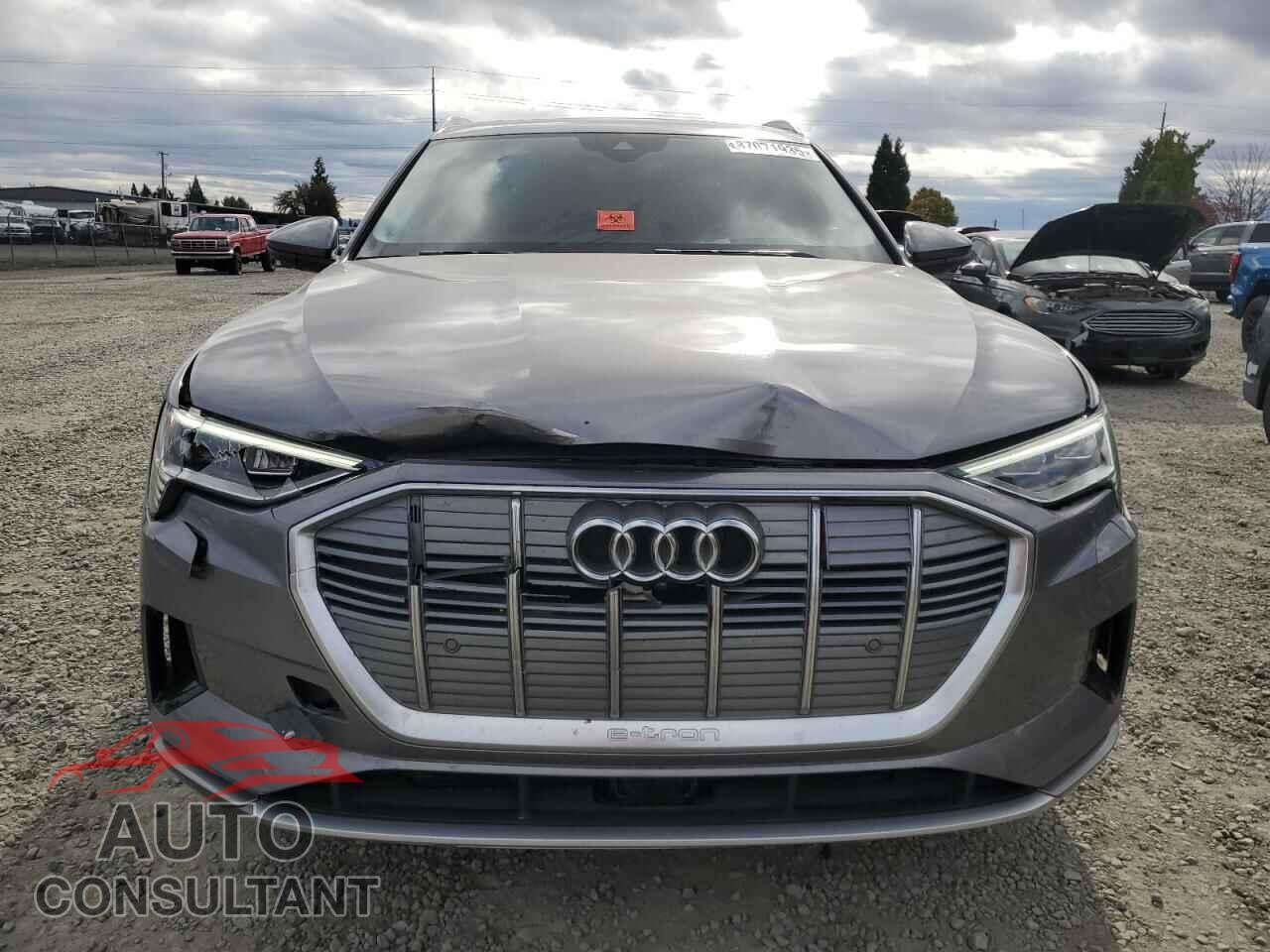 AUDI E-TRON 2019 - WA1VABGE7KB011143