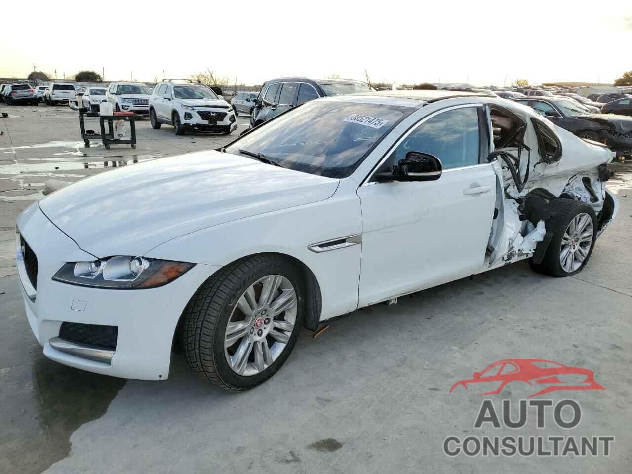JAGUAR XF 2016 - SAJBD4BV5GCY09422