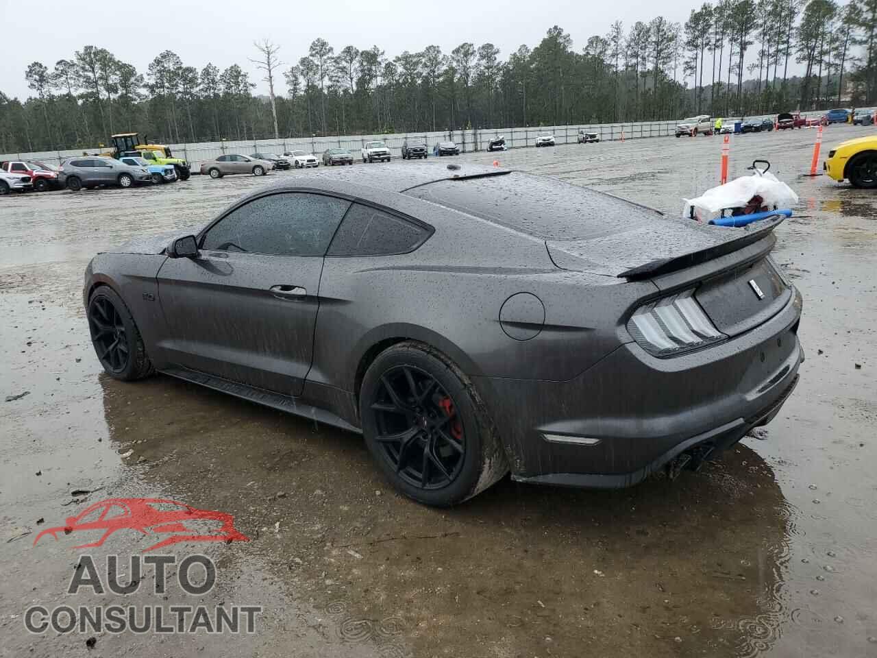 FORD MUSTANG 2019 - 1FA6P8CF2K5129213