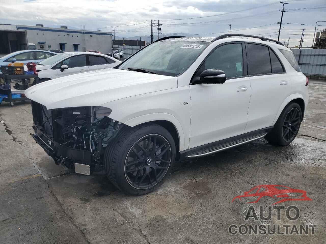 MERCEDES-BENZ GLE-CLASS 2025 - 4JGFB6BB5SB378761