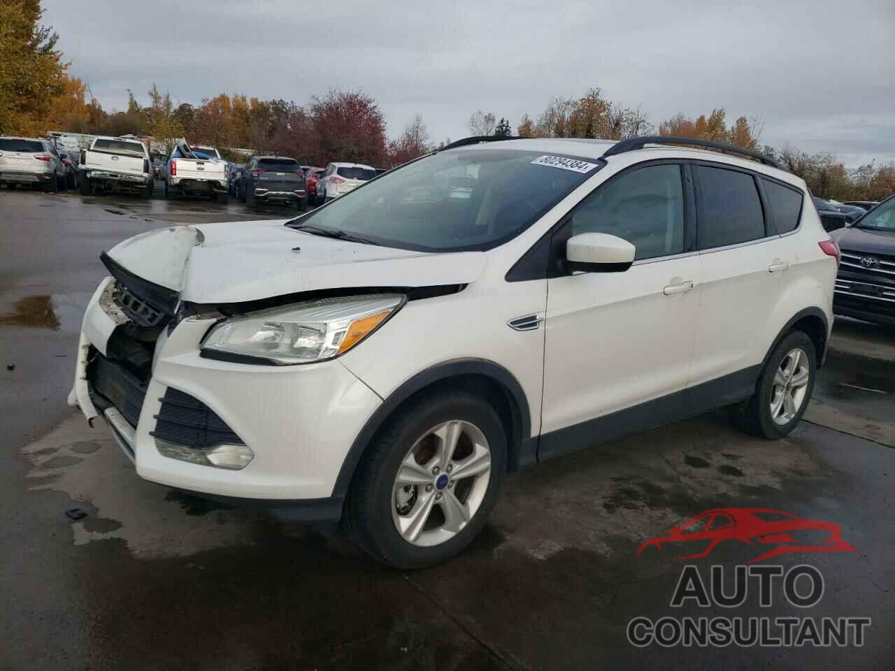 FORD ESCAPE 2014 - 1FMCU9G96EUE53948