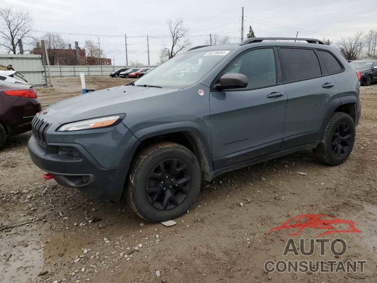 JEEP CHEROKEE 2014 - 1C4PJMBS8EW239981