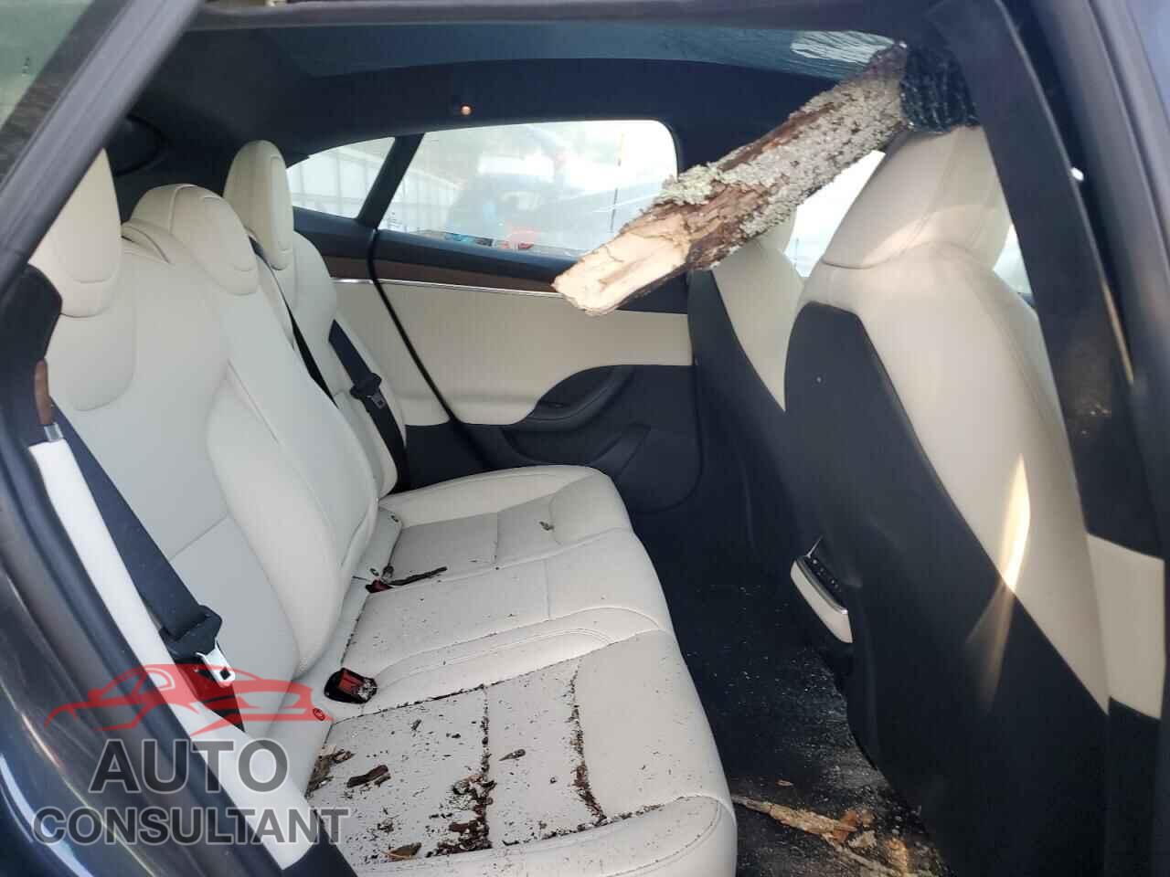 TESLA MODEL S 2024 - 5YJSA1E55RF538627
