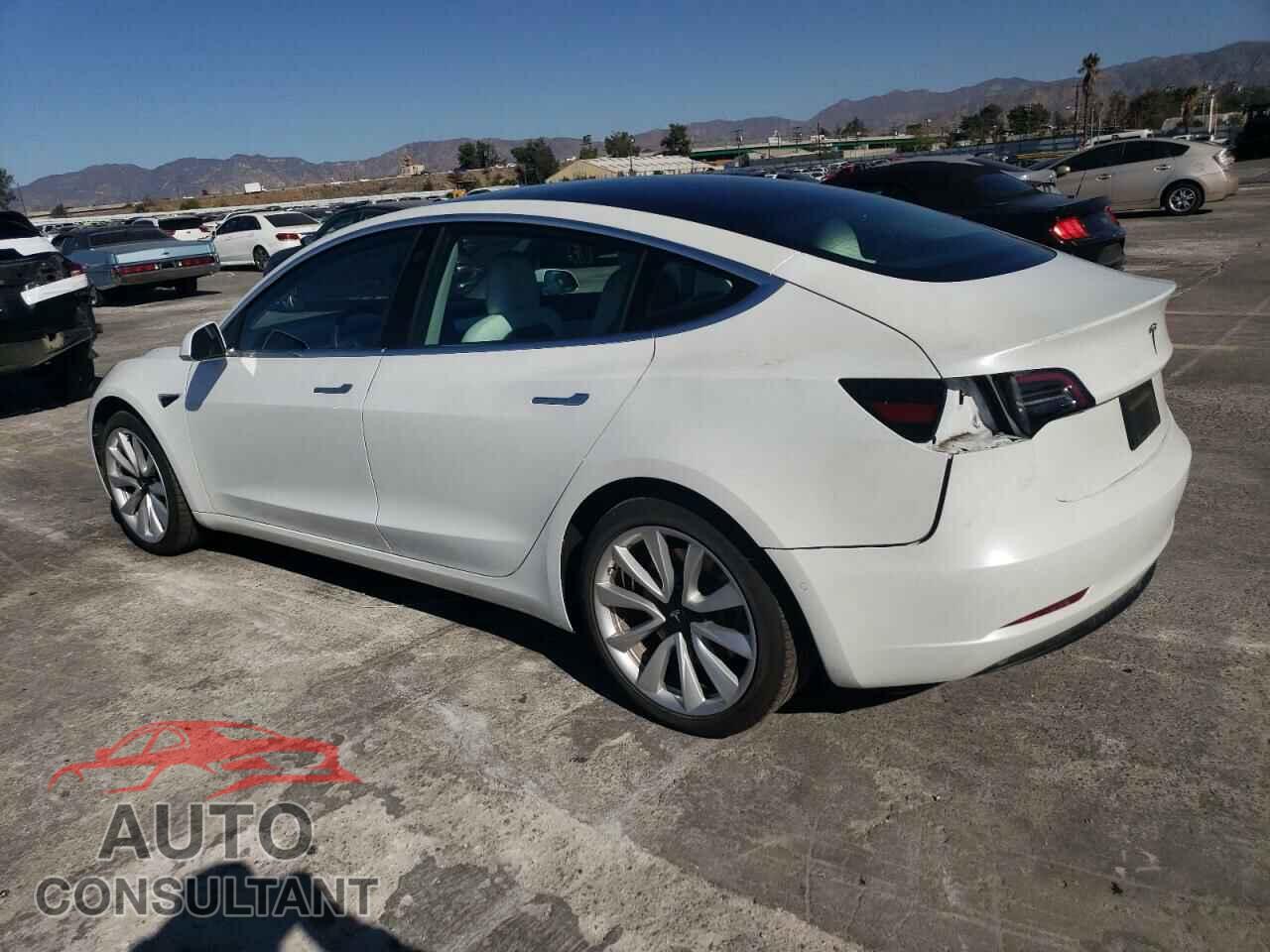 TESLA MODEL 3 2019 - 5YJ3E1EA3KF448002