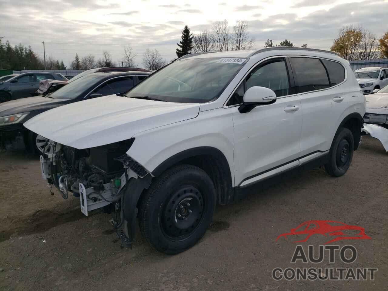 HYUNDAI SANTA FE 2019 - 5NMS3CAD8KH005047