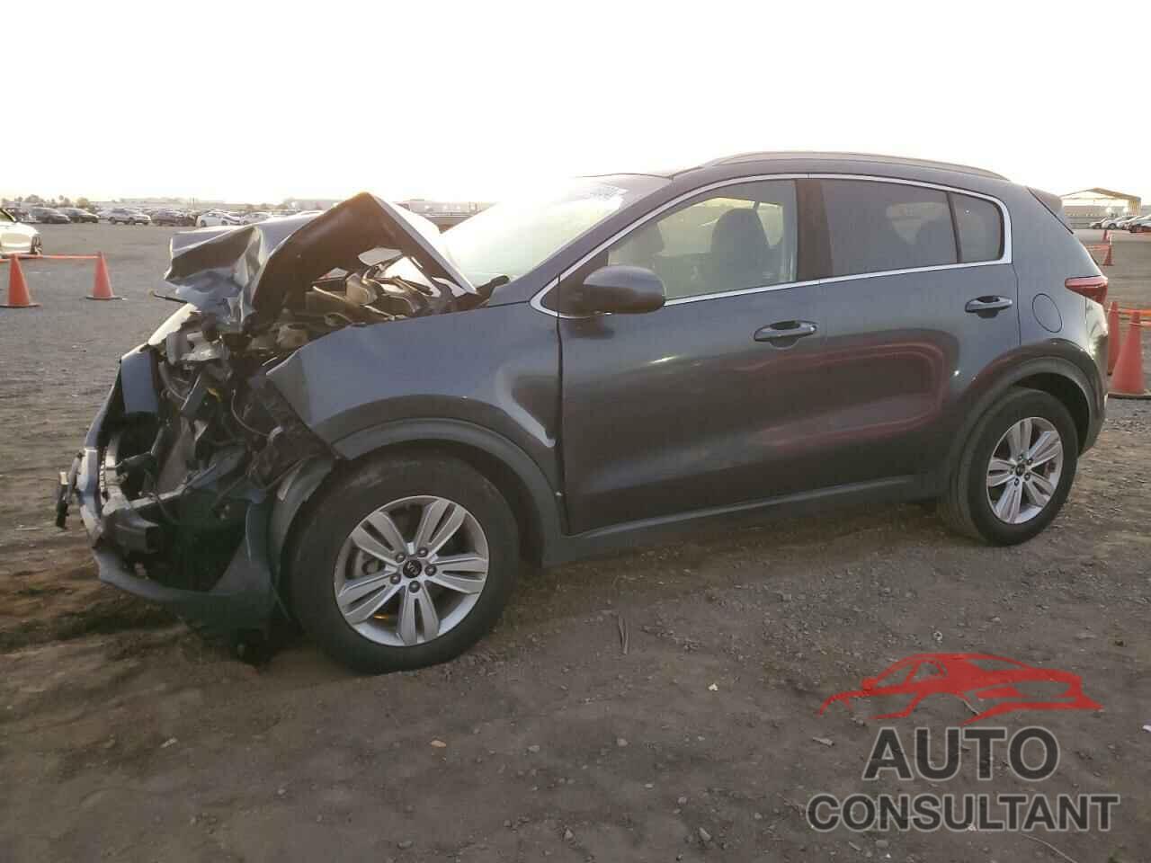 KIA SPORTAGE 2017 - KNDPM3AC6H7082820