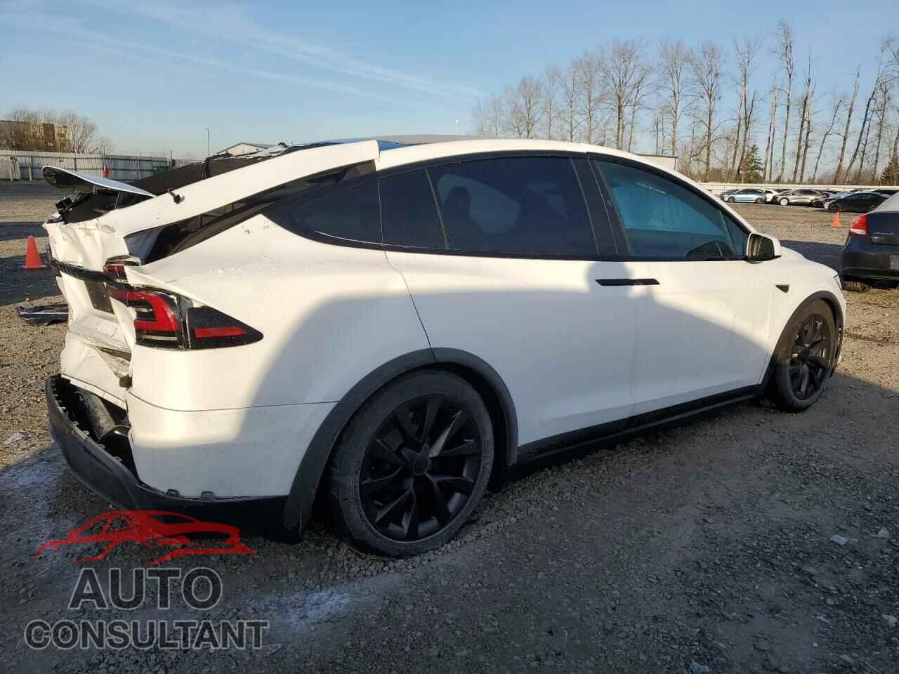 TESLA MODEL X 2023 - 7SAXCAE58PF422967