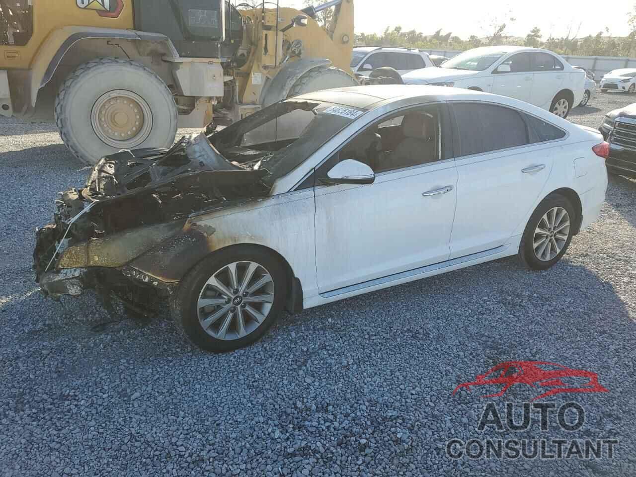 HYUNDAI SONATA 2016 - 5NPE34AF6GH369658