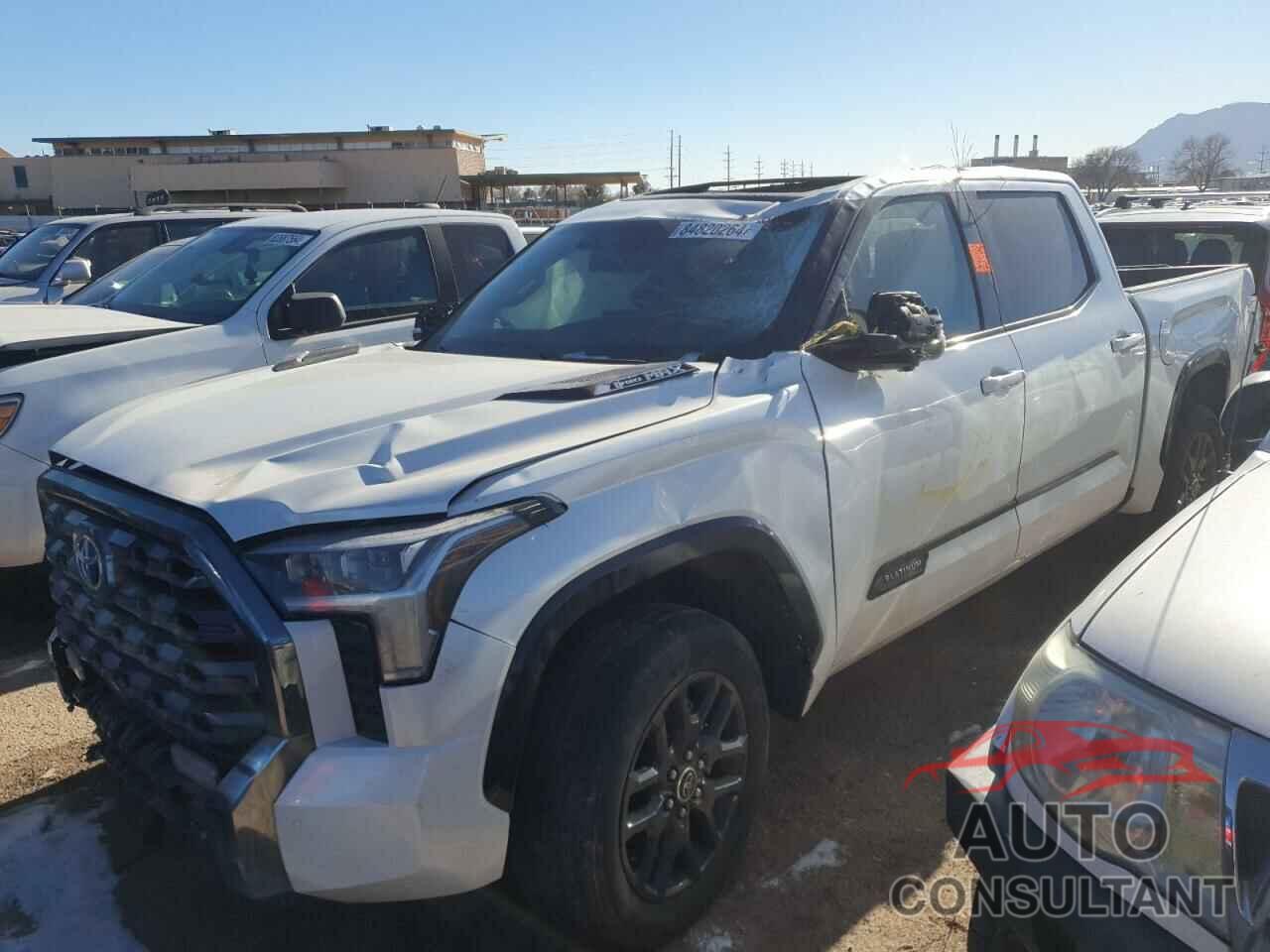TOYOTA TUNDRA 2023 - 5TFNC5DB3PX033243