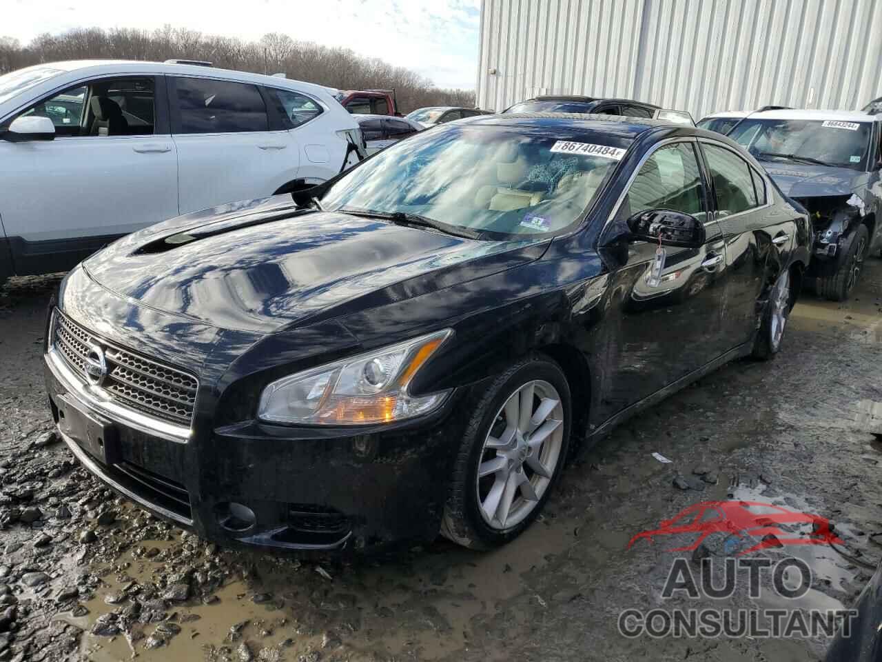 NISSAN MAXIMA 2011 - 1N4AA5AP6BC803087