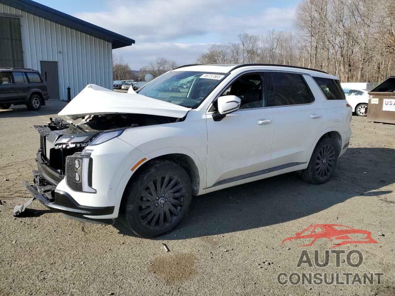 HYUNDAI PALISADE 2024 - KM8R7DGE0RU718693