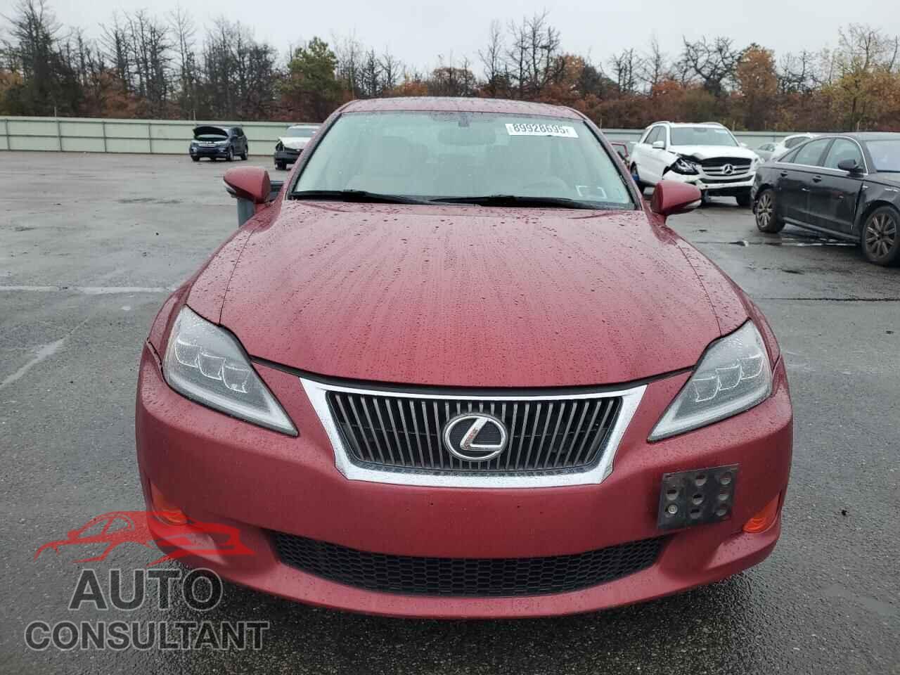 LEXUS IS 2009 - JTHBK262295093349