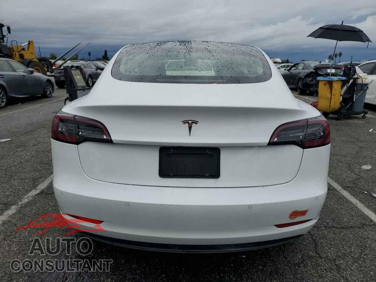 TESLA MODEL 3 2019 - 5YJ3E1EA9KF435674