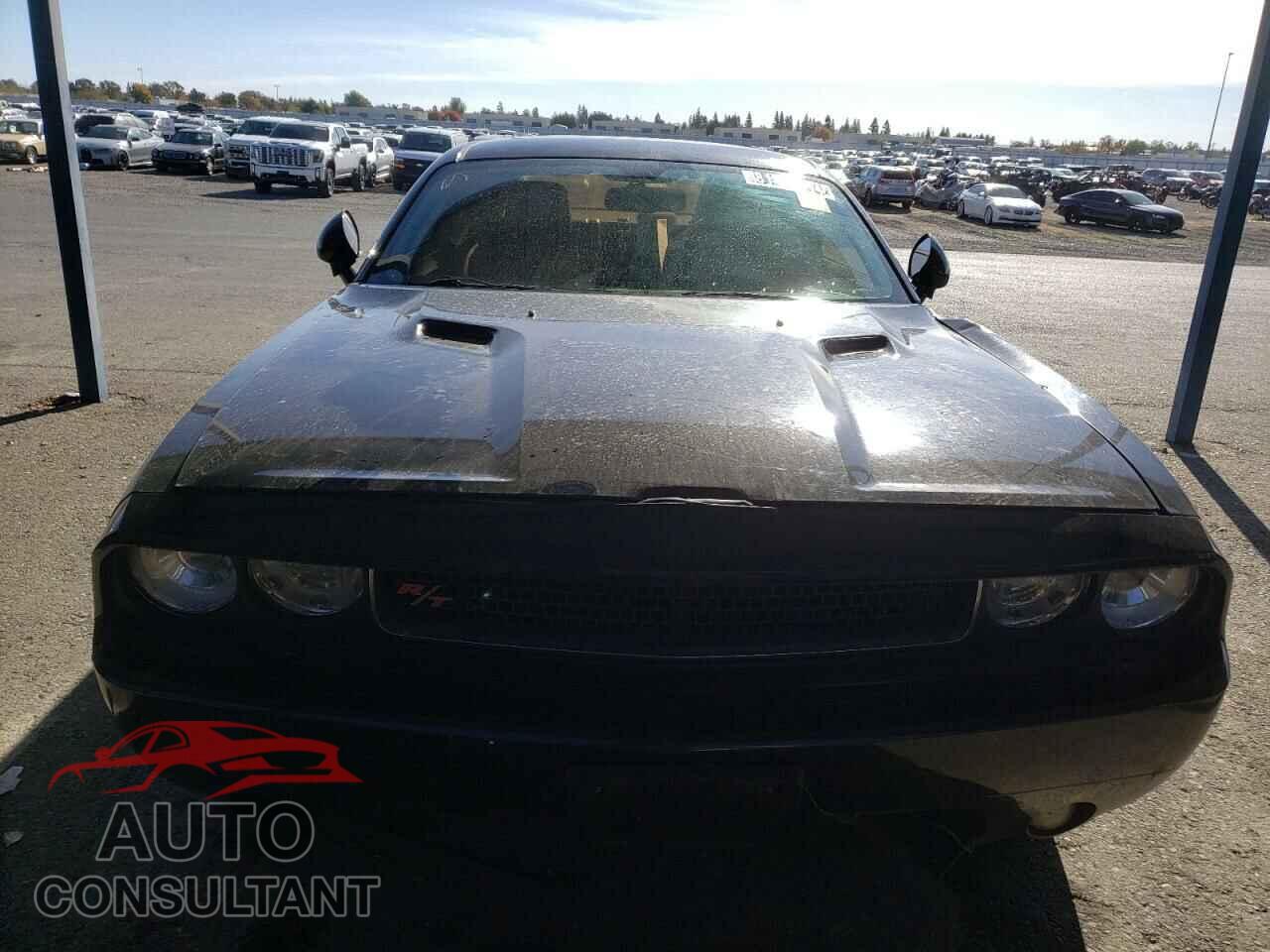 DODGE CHALLENGER 2014 - 2C3CDYBT6EH247232