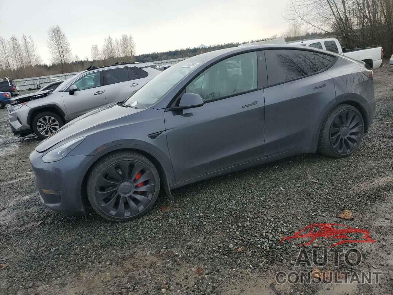 TESLA MODEL Y 2022 - 7SAYGDEF1NF439089