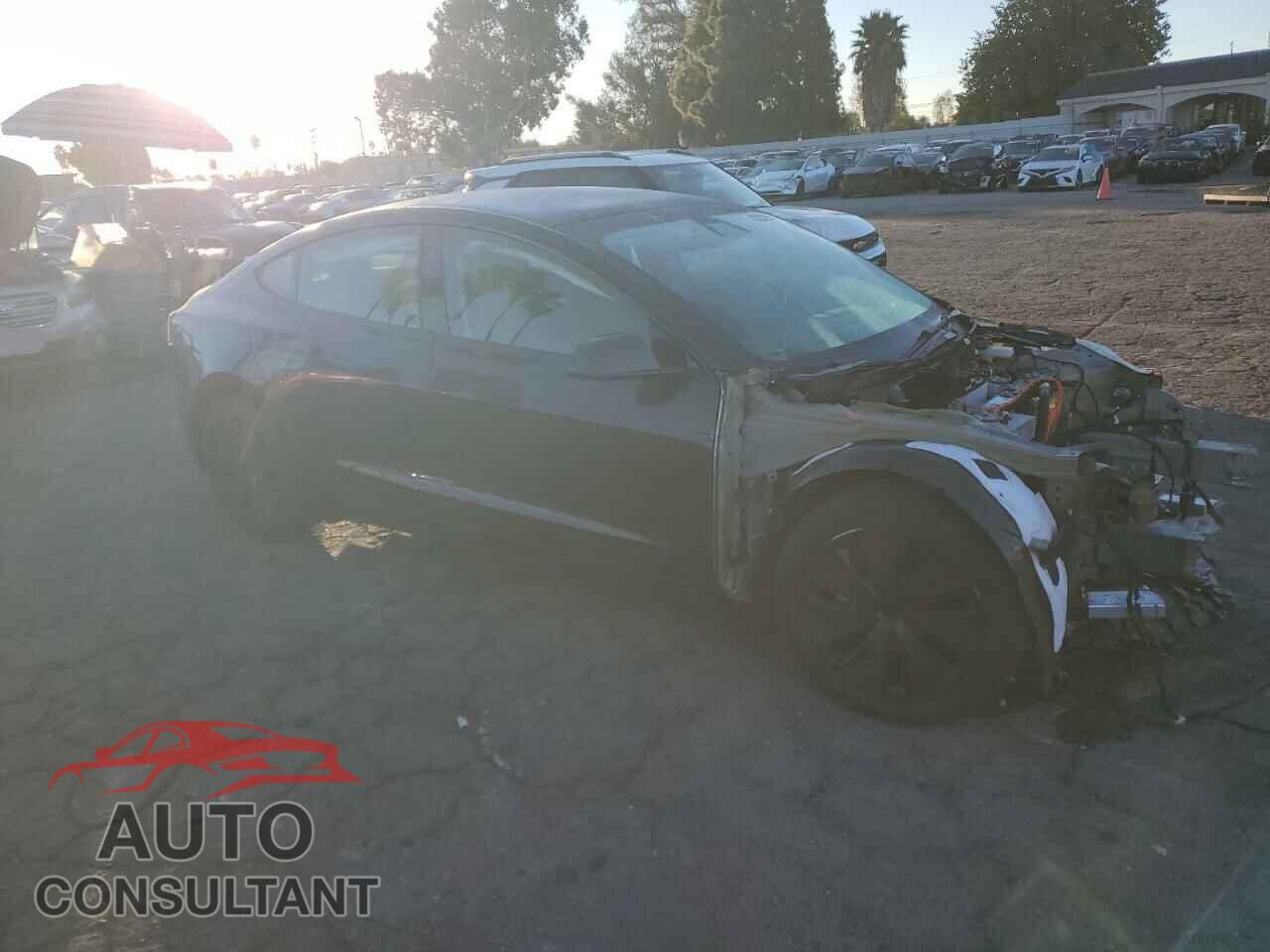 TESLA MODEL 3 2024 - 5YJ3E1EA4RF741904