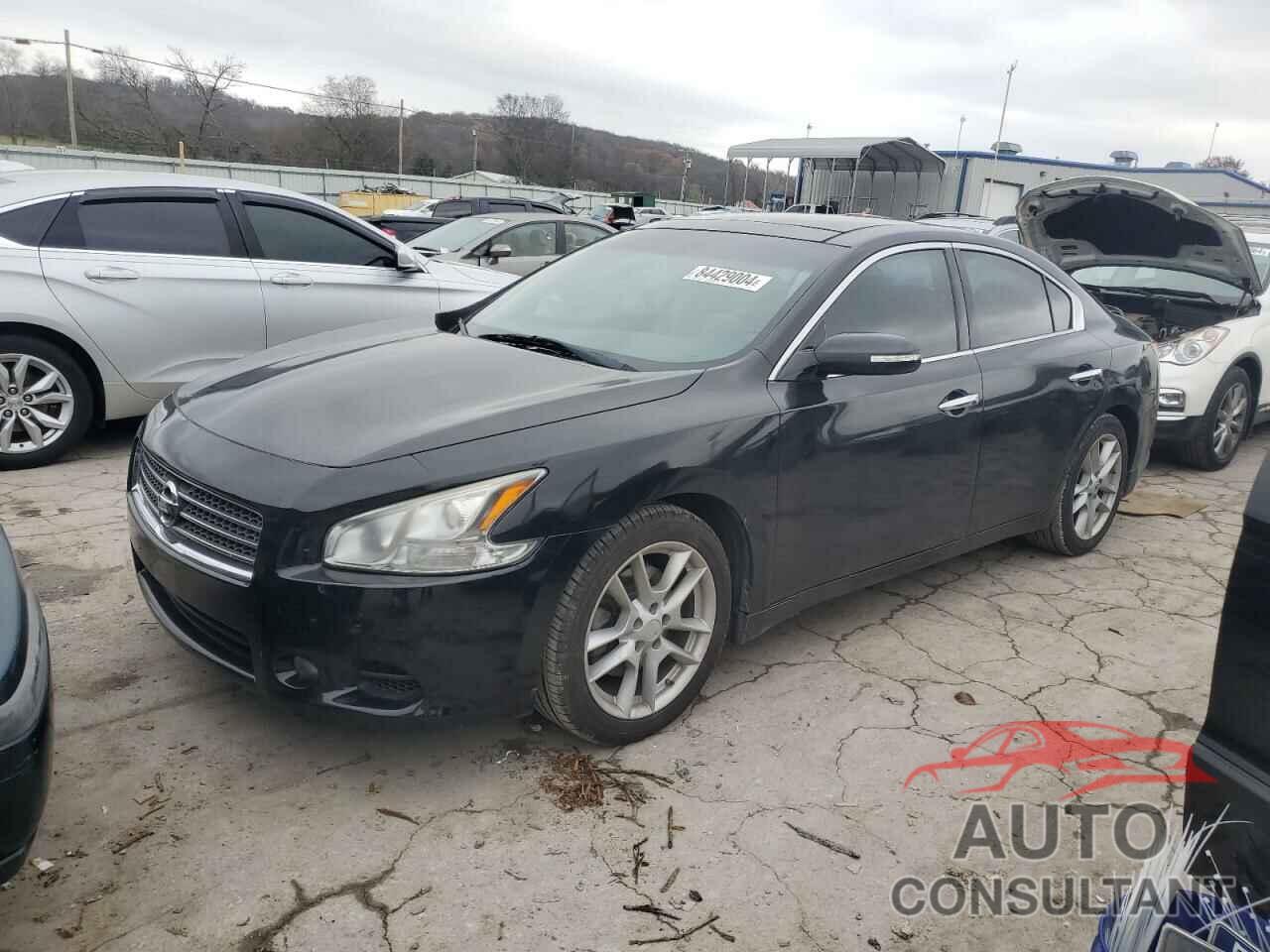 NISSAN MAXIMA 2011 - 1N4AA5AP3BC801216