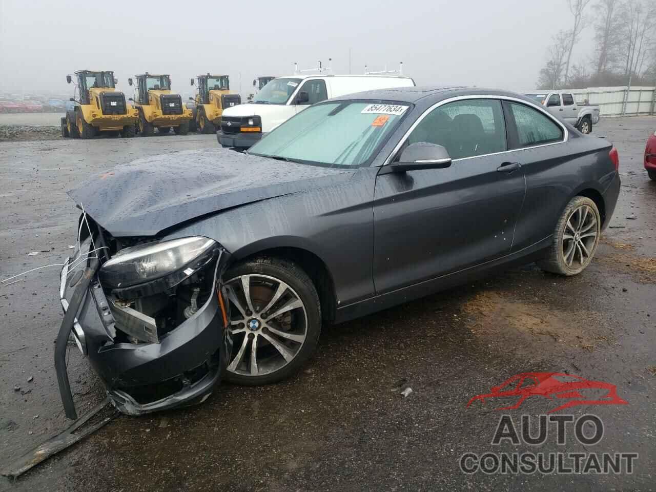 BMW 2 SERIES 2016 - WBA1F9C53GV545540