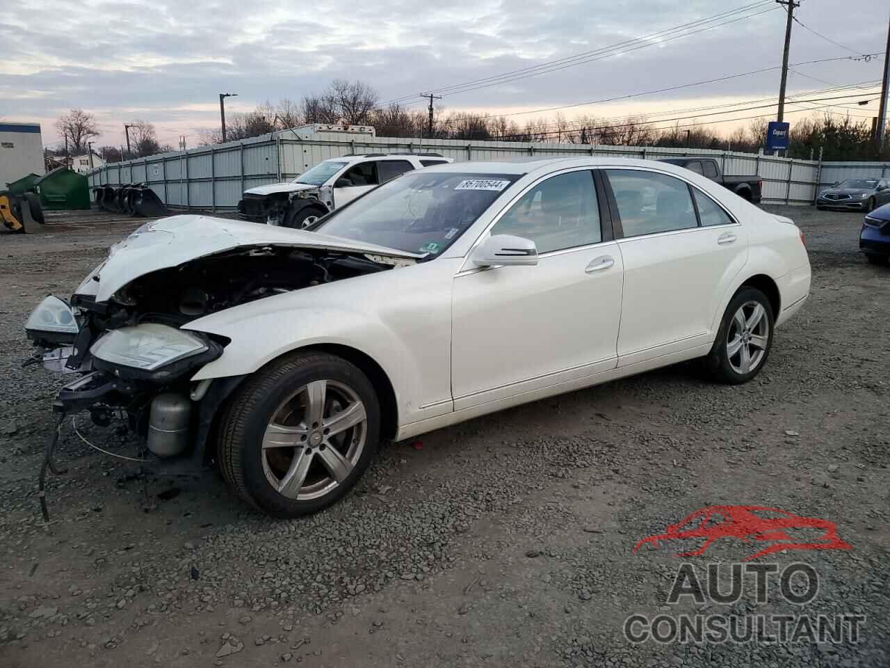 MERCEDES-BENZ S-CLASS 2010 - WDDNG8GB7AA314978