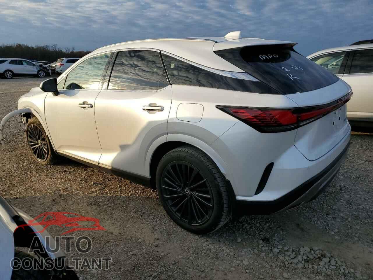 LEXUS RX350 2024 - 2T2BAMBA5RC043752