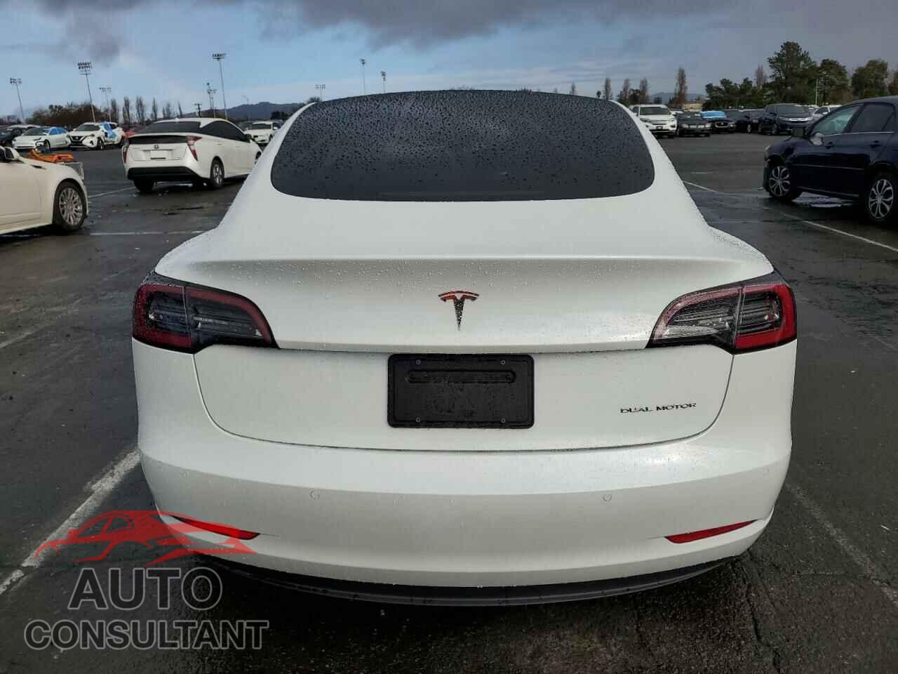 TESLA MODEL 3 2022 - 5YJ3E1EB5NF315061