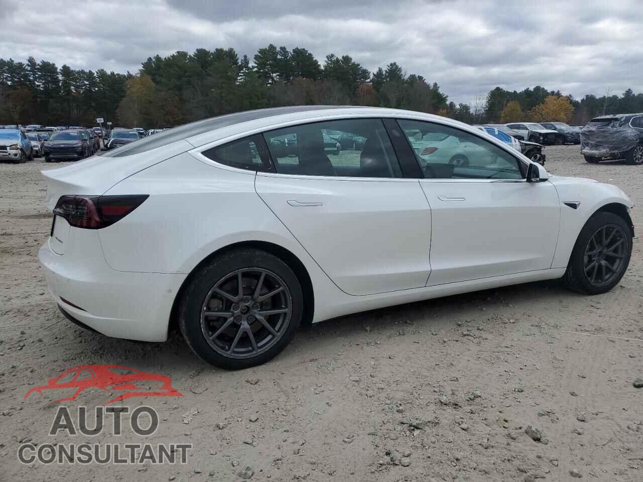 TESLA MODEL 3 2019 - 5YJ3E1EB9KF437000
