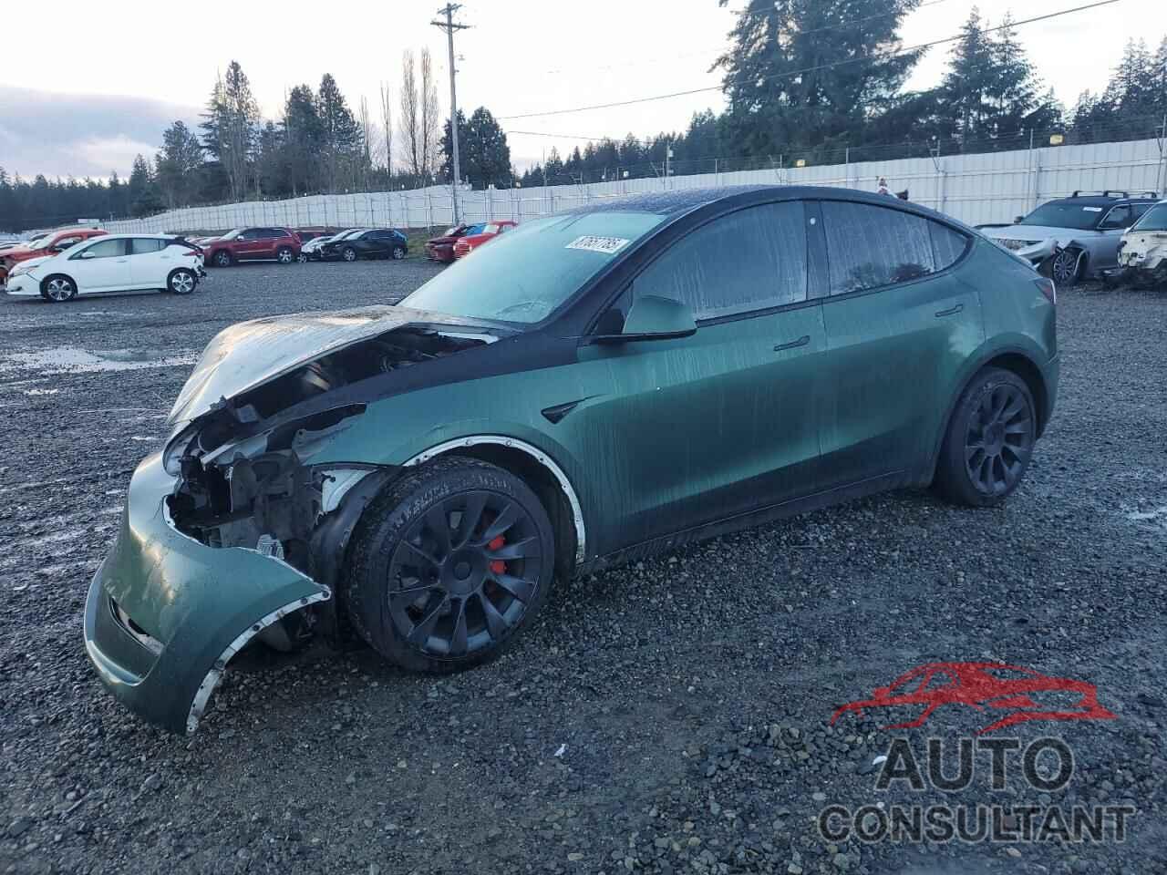 TESLA MODEL Y 2020 - 5YJYGDEE9LF056194