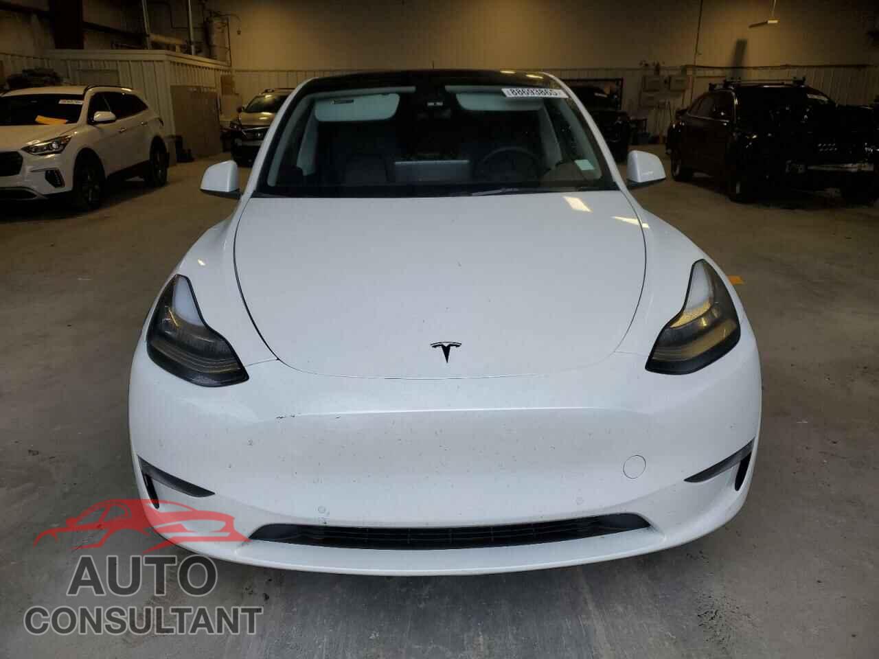 TESLA MODEL Y 2022 - 7SAYGDEE4NF331606