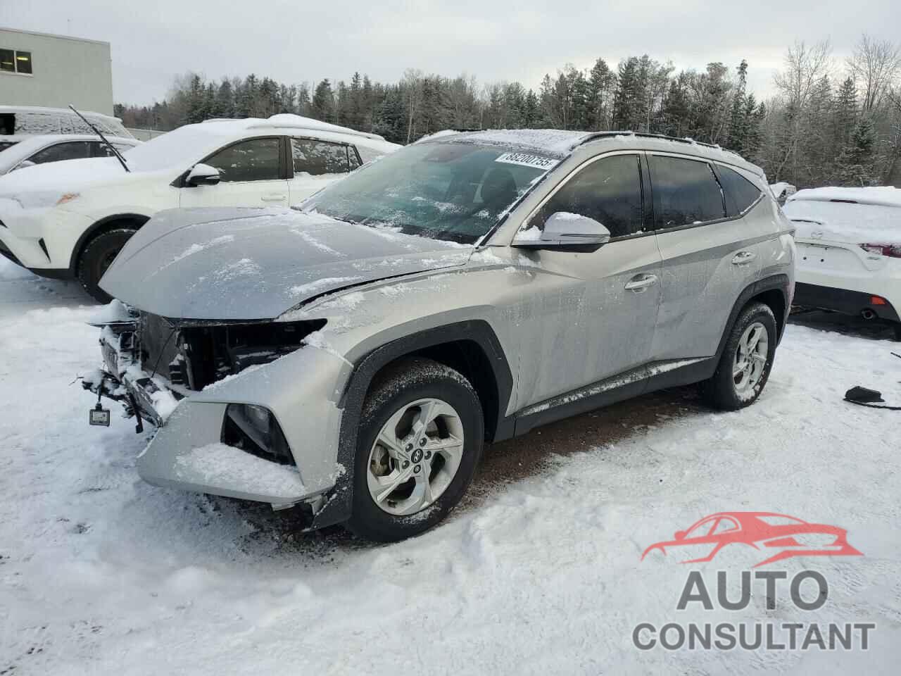 HYUNDAI TUCSON 2023 - KM8JCCAE7PU255900