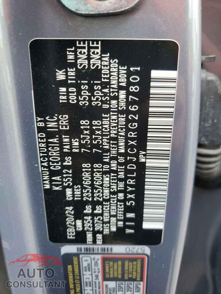 KIA SORENTO 2024 - 5XYRLDJCXRG267801