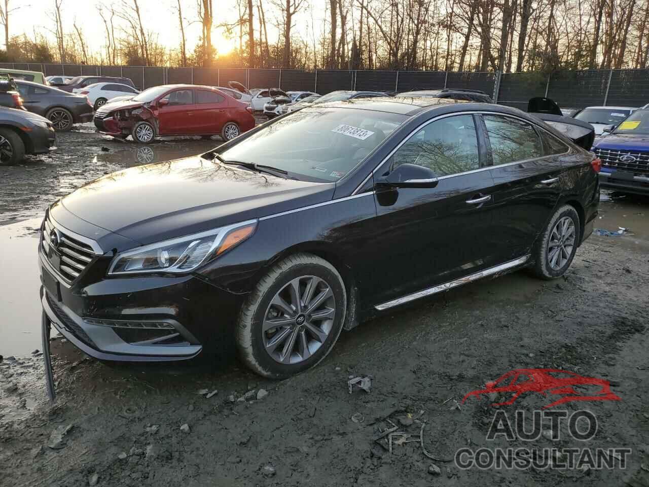HYUNDAI SONATA 2016 - 5NPE34AF6GH394124