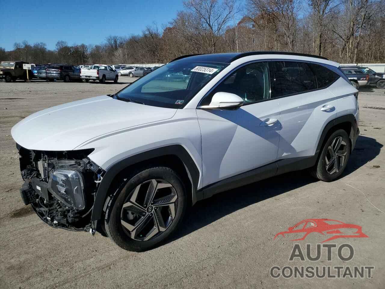 HYUNDAI TUCSON 2023 - KM8JECA17PU120309