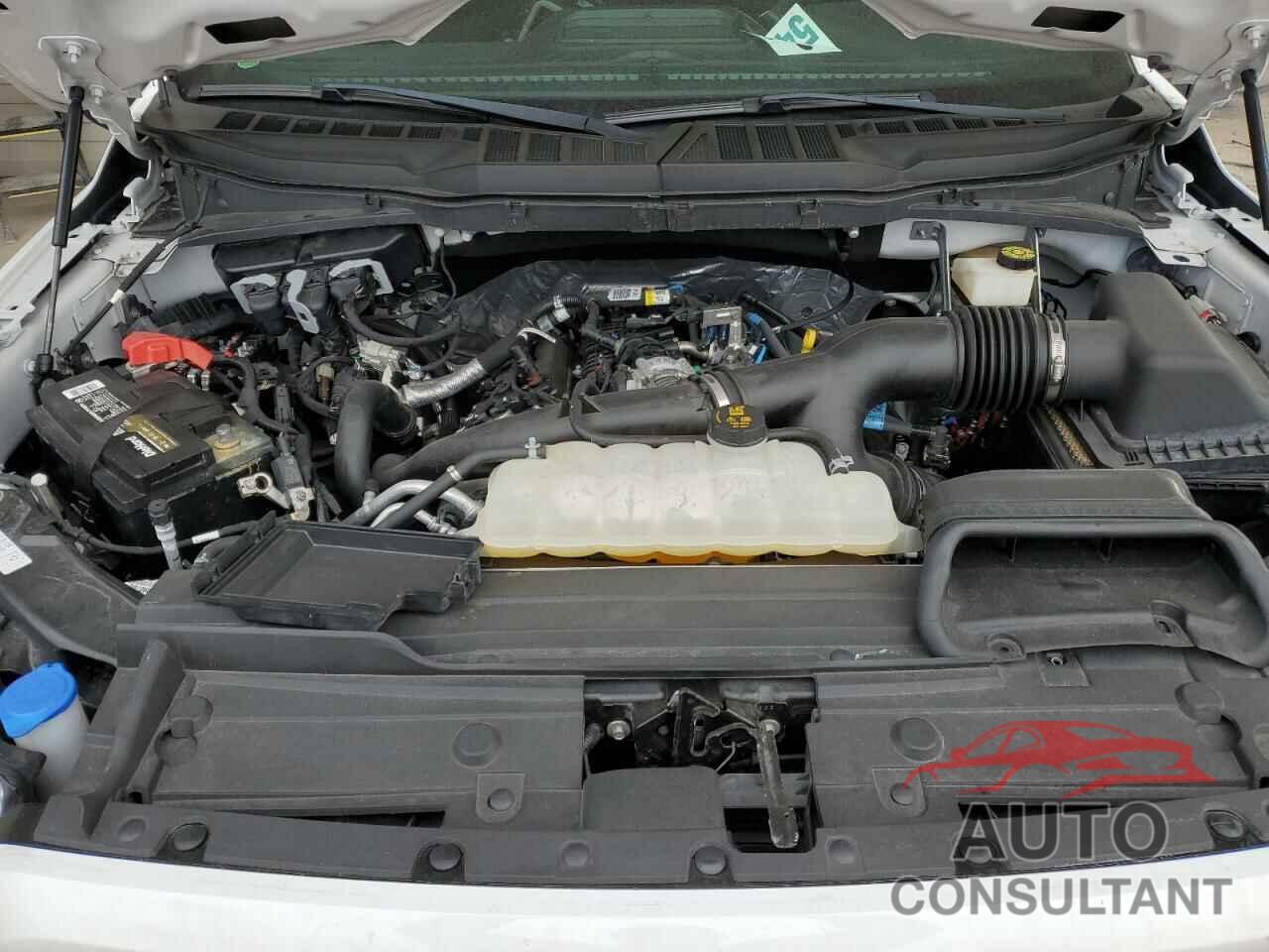 FORD F-150 2021 - 1FTEW1CP7MFC59218