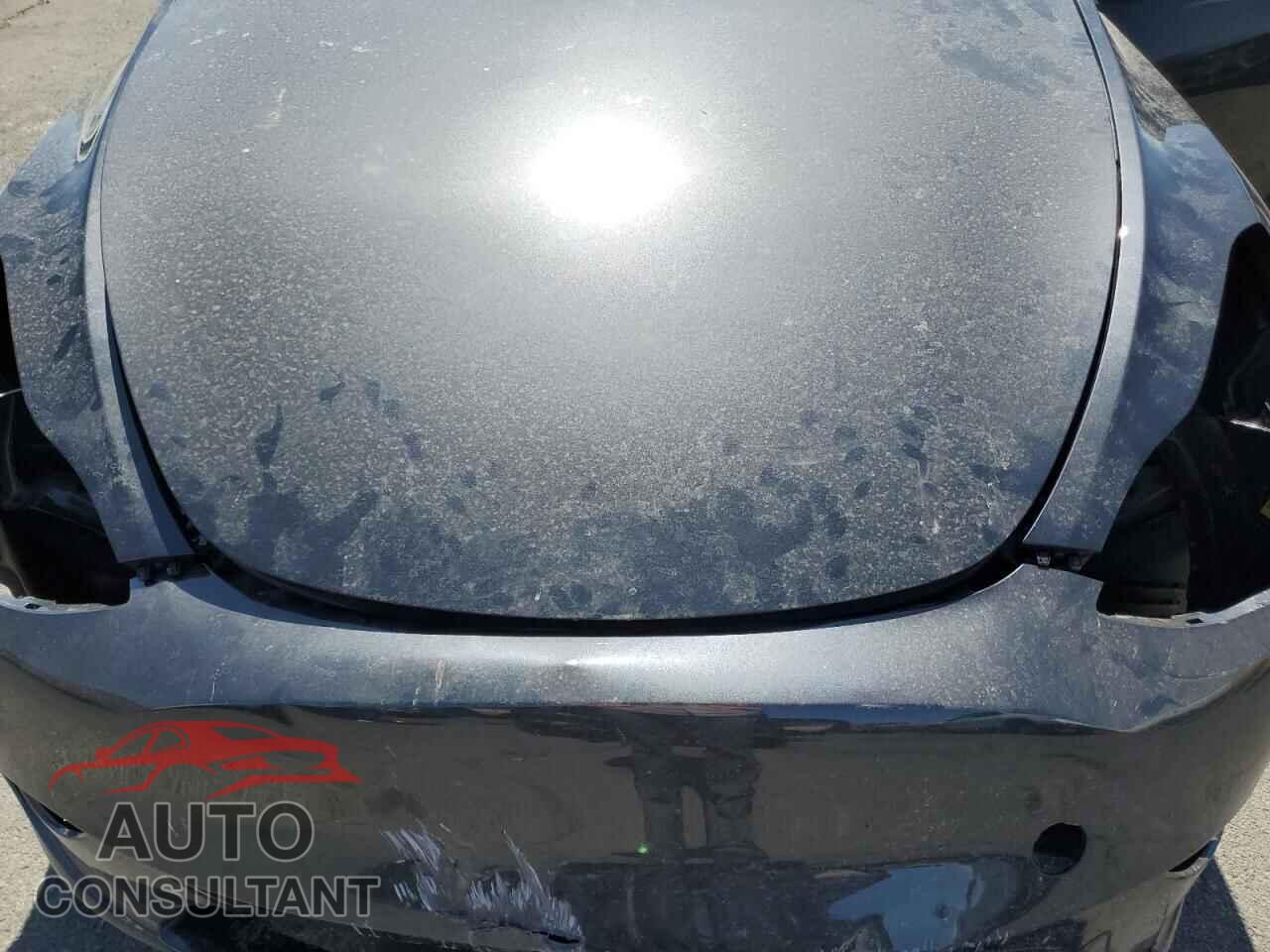 TESLA MODEL Y 2025 - 7SAYGDED2SF266130