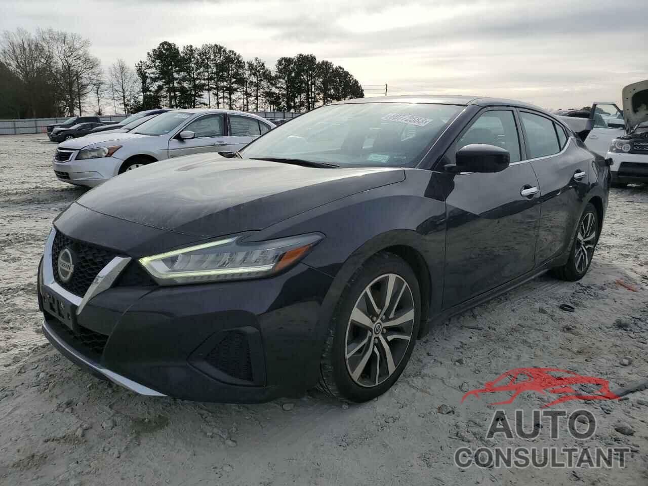 NISSAN MAXIMA 2019 - 1N4AA6AV9KC367775