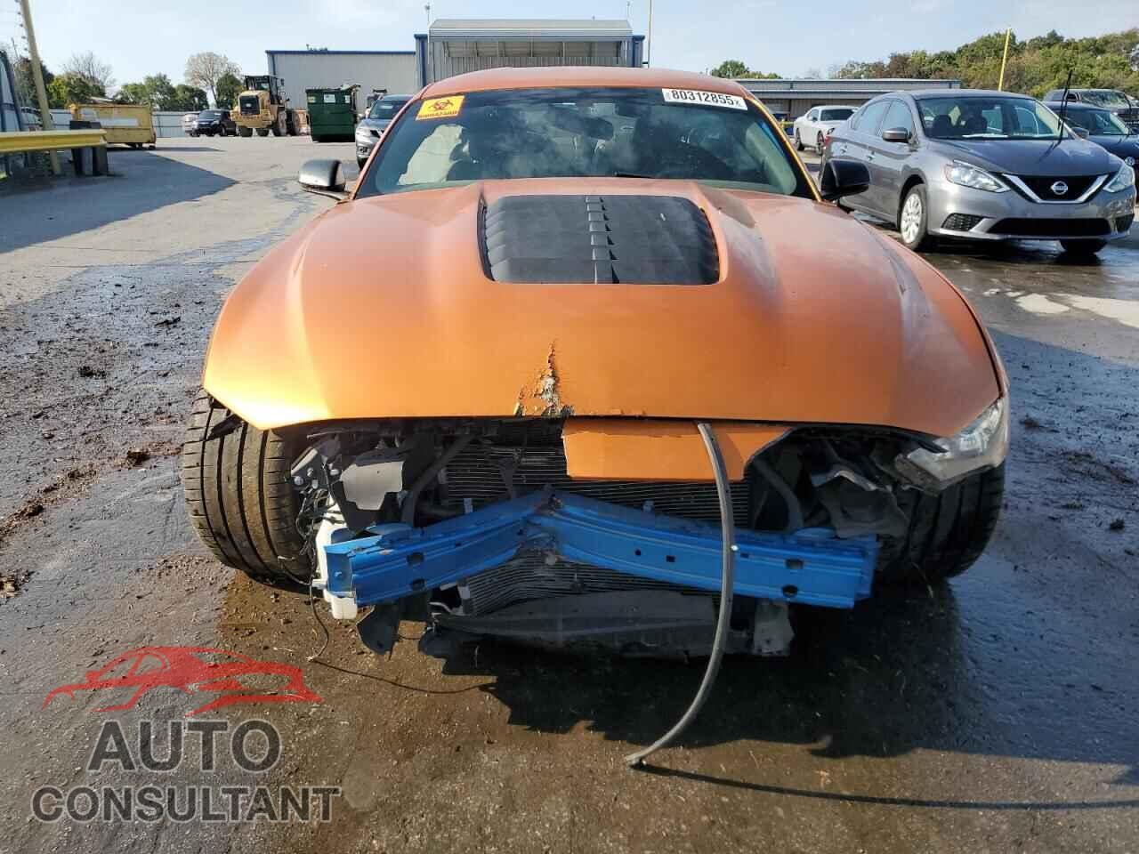 FORD MUSTANG 2019 - 1FA6P8CFXK5174318