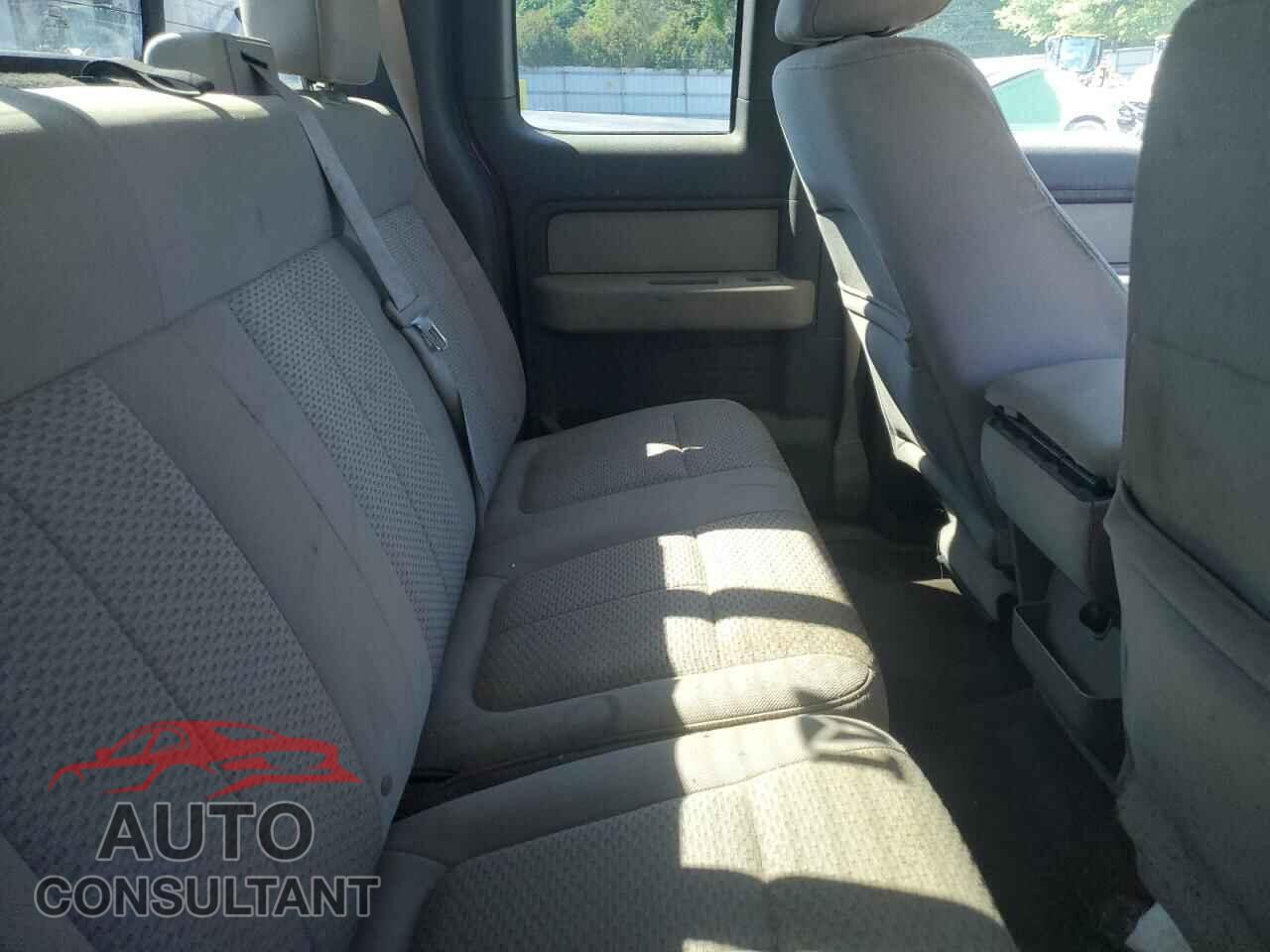 FORD F-150 2010 - 1FTFX1EV5AFB25350
