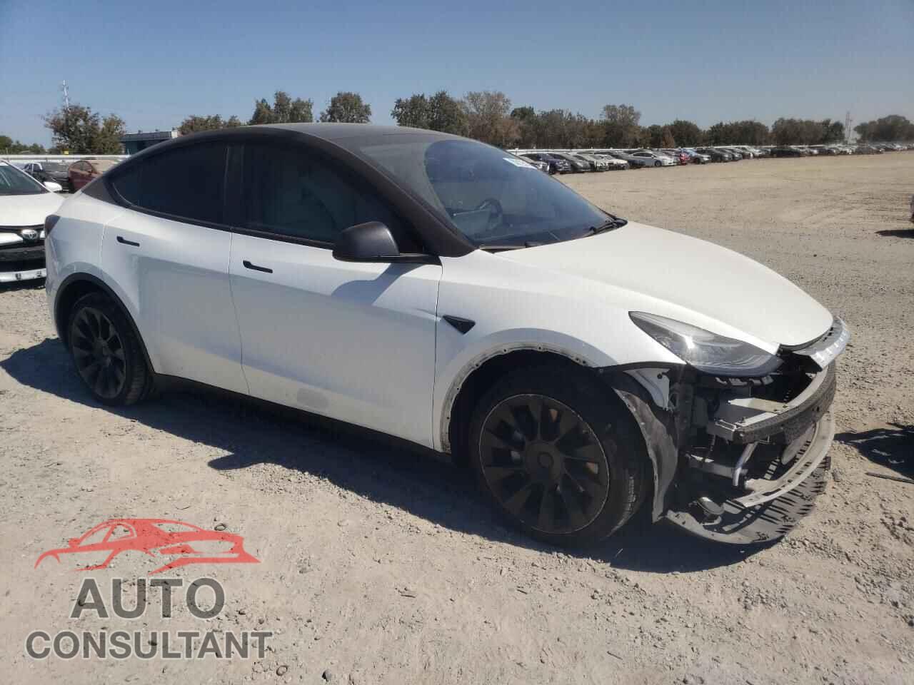 TESLA MODEL Y 2022 - 7SAYGDEE6NF484505