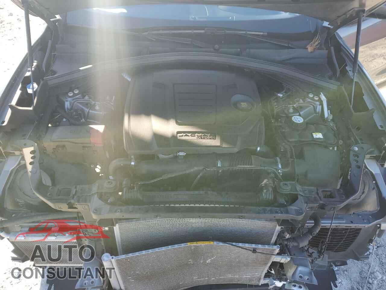JAGUAR F-PACE 2019 - SADCJ2FX8KA611275