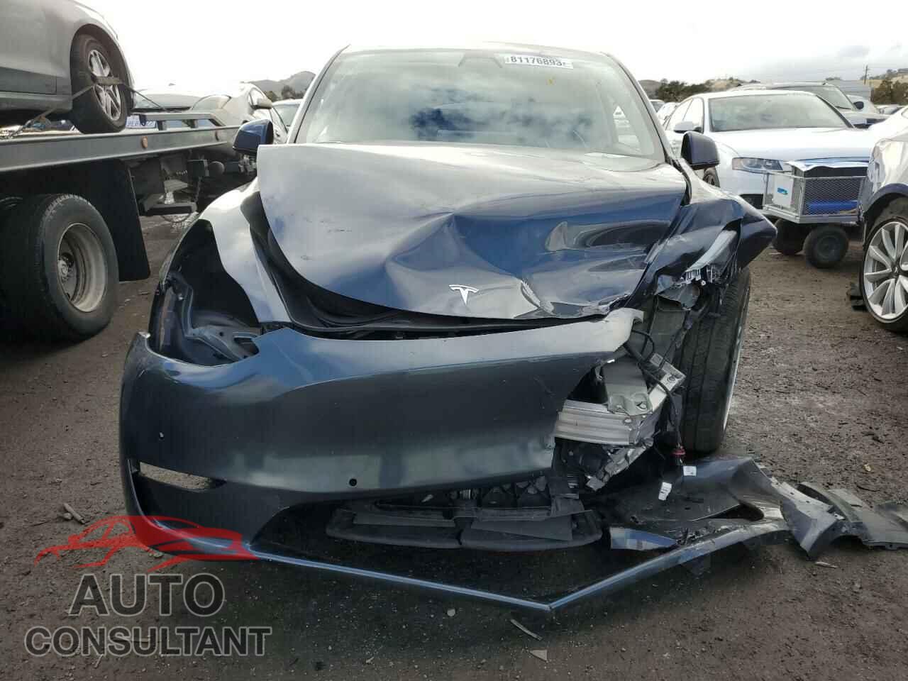 TESLA MODEL Y 2022 - 7SAYGDEEXNF427403